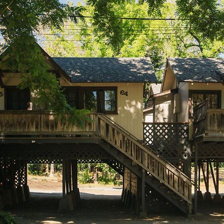 Johnson'S Beach Cabins And Campground Guerneville Dış mekan fotoğraf