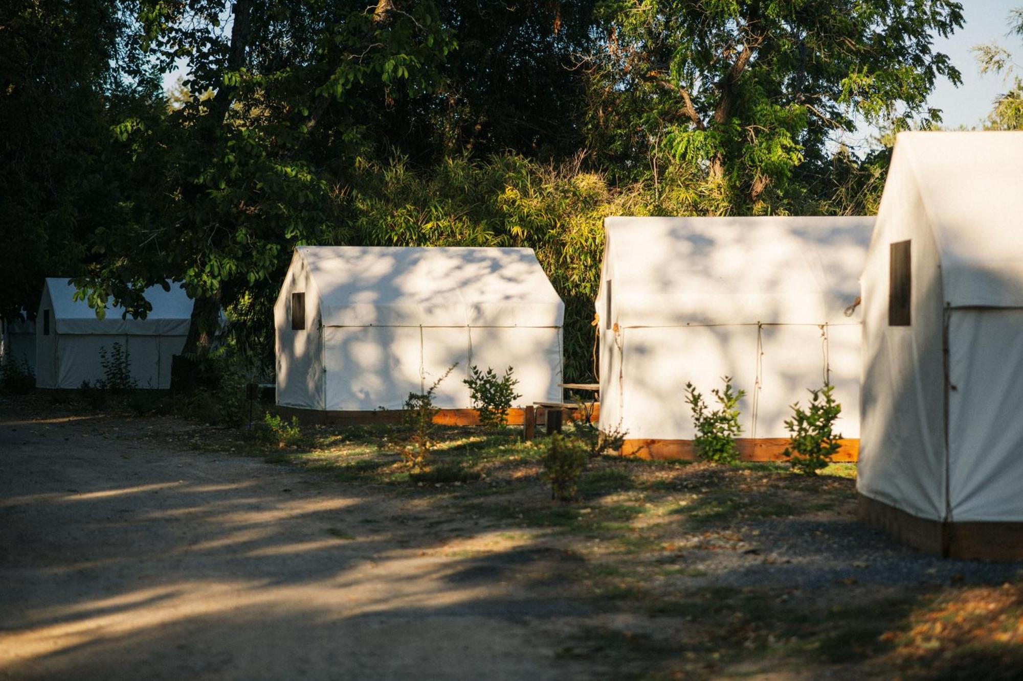 Johnson'S Beach Cabins And Campground Guerneville Dış mekan fotoğraf