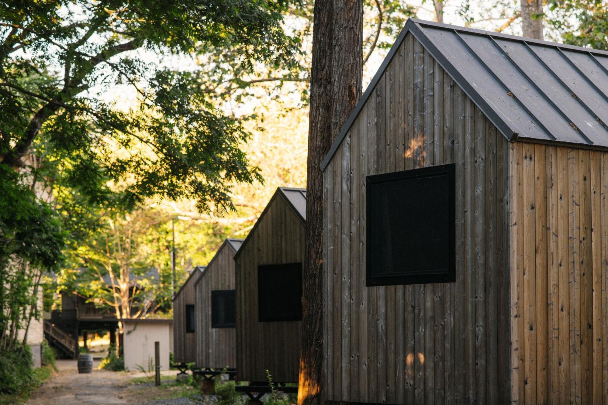Johnson'S Beach Cabins And Campground Guerneville Dış mekan fotoğraf