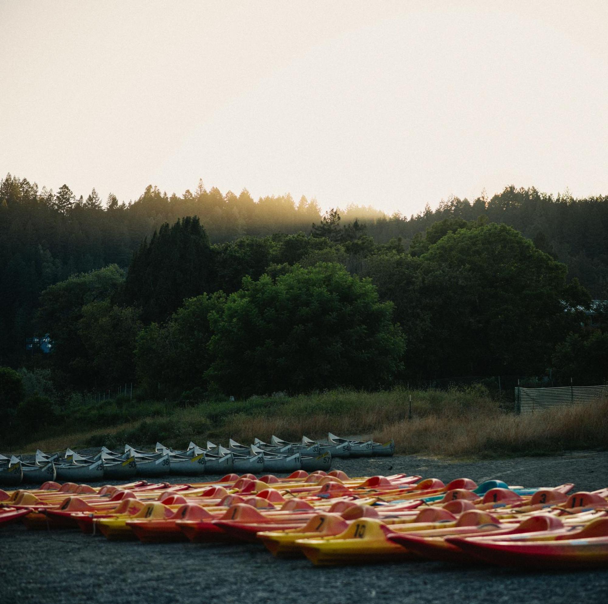 Johnson'S Beach Cabins And Campground Guerneville Dış mekan fotoğraf